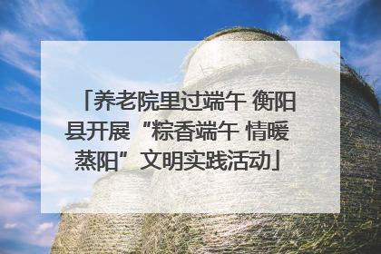 养老院里过端午 衡阳县开展“粽香端午 情暖蒸阳”文明实践活动